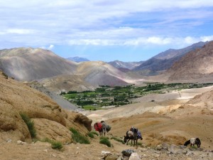 La vallée du Sham par Shanti Travel