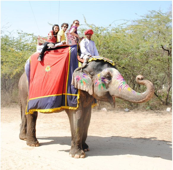 An Elephant Ride