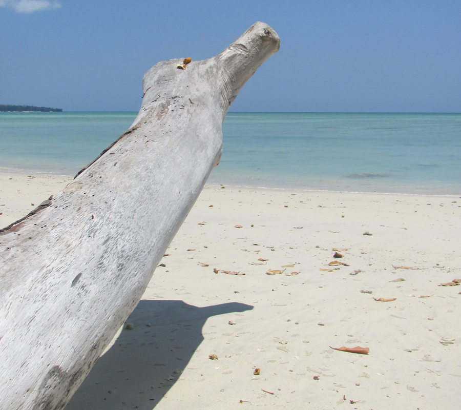 Les plages paradisiaques des îles Andaman