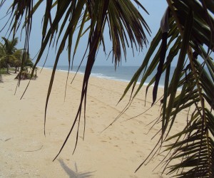 Bekal beach