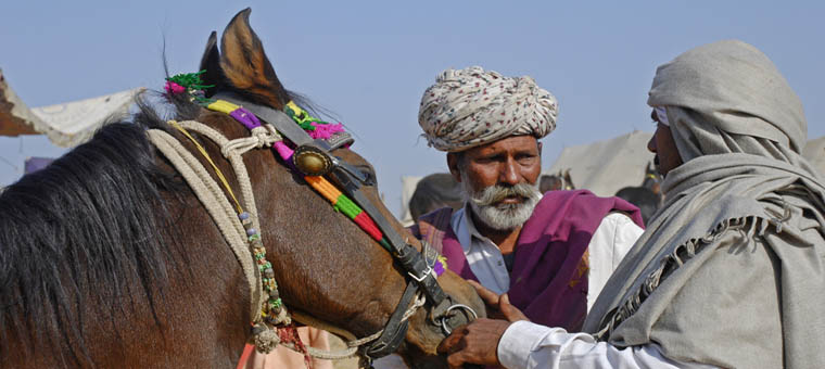 Rajasthan_Pushkar_Fair_Trader