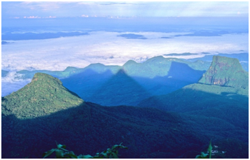 Sri Lanka Adam's Peak