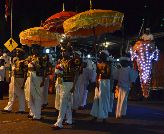 Sous les ombrelles, les hommes en tenue de cérémonie des nobles de Kandy
