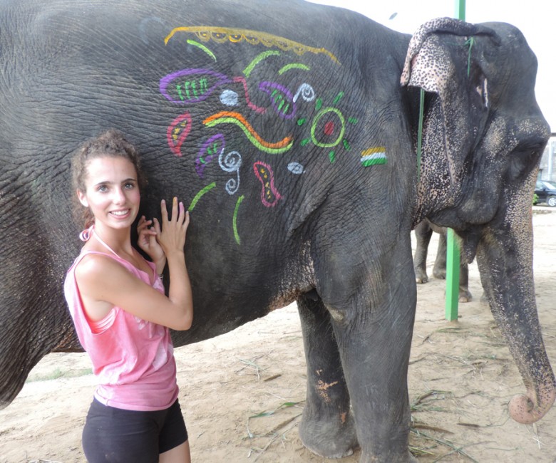 Avec les éléphants