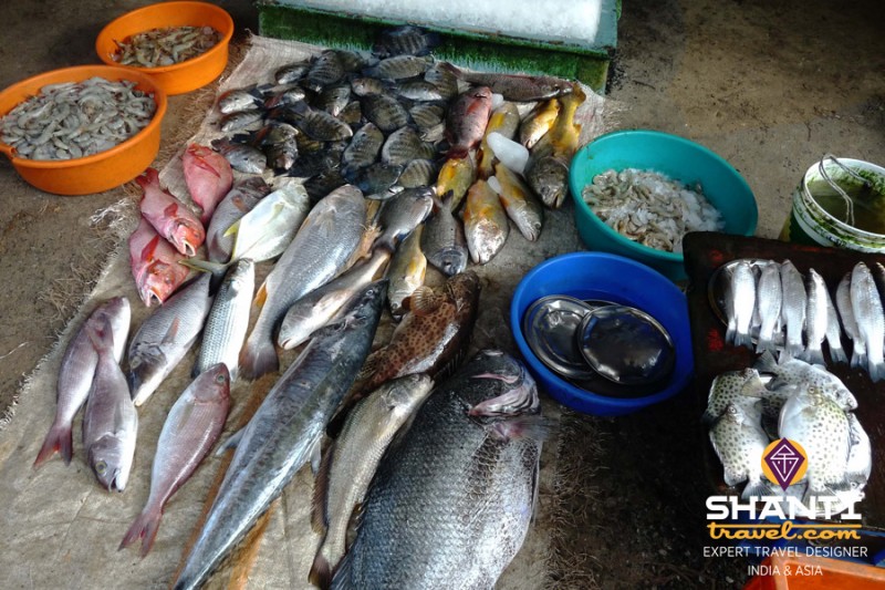 Marché de poissons à Fort Kochi
