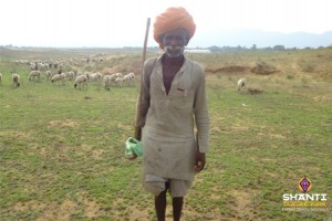 Shepherd in Pushkar