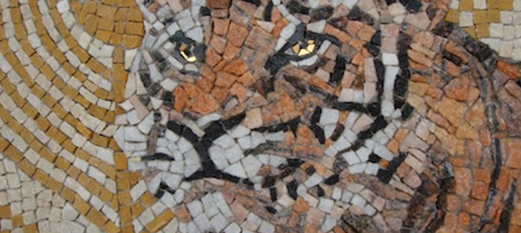 Mosaic Guest House Tigre