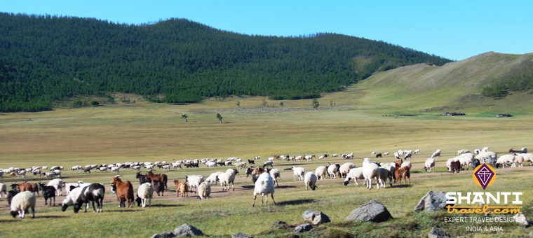 Okrhon Valley Mongolie