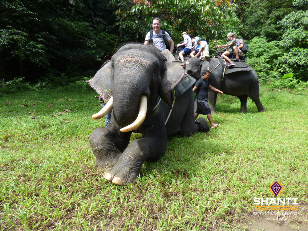 Balade à dos d'éléphant Tangkahan Sumatra