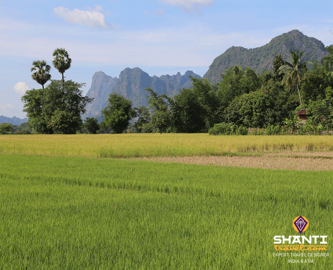 Hpa-an rice field