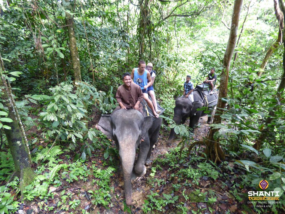 Balade à dos d'éléphant Sumatra
