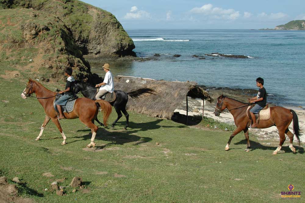 Horse Riding tour in Lombok