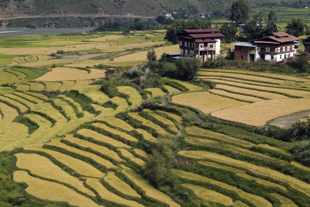 Bhutan Valley Small village