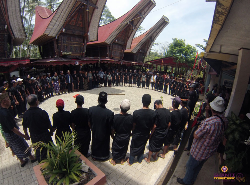 Last Funeral Rituals of the Torajas 
