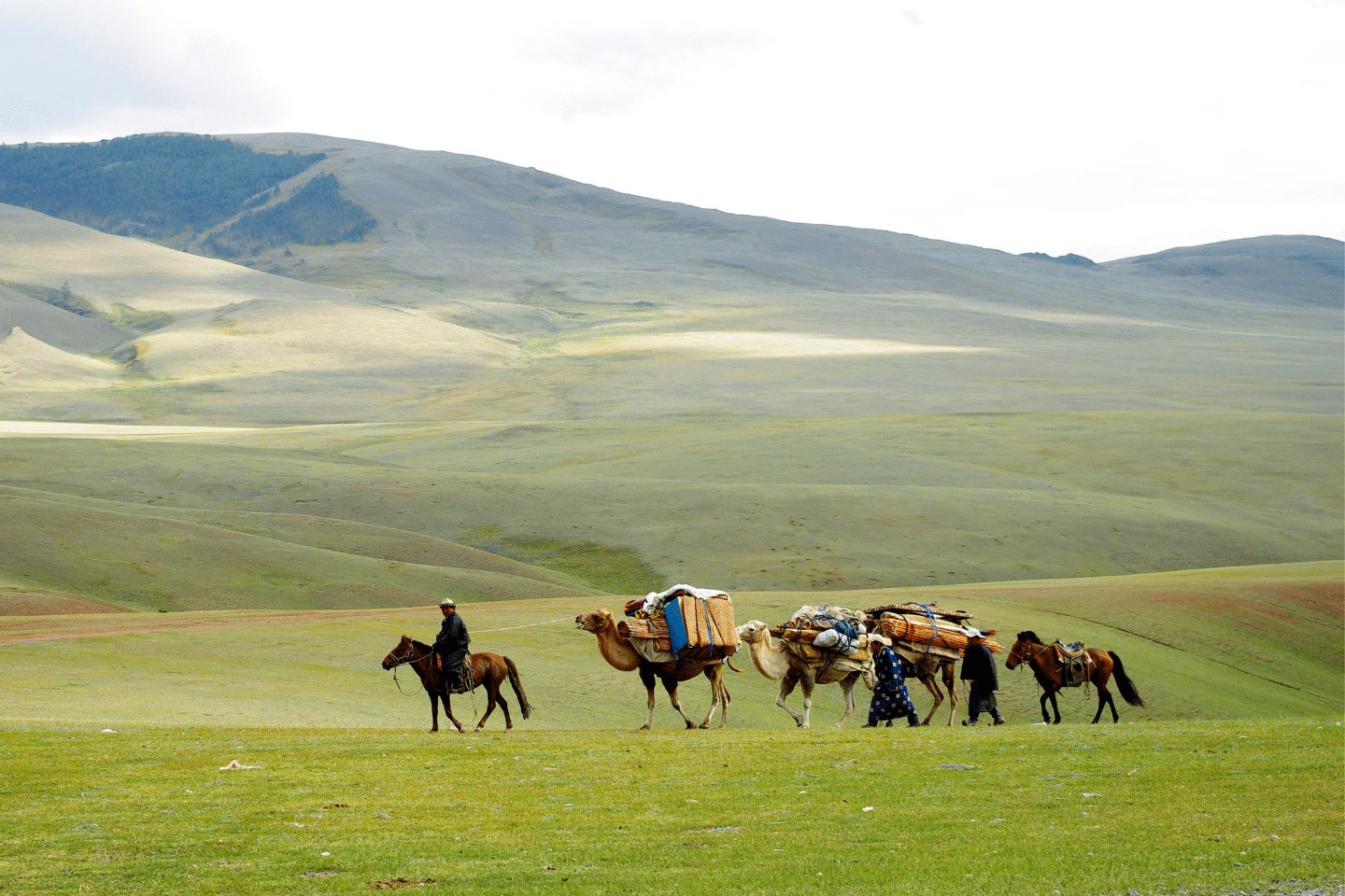 voyage mongolie
