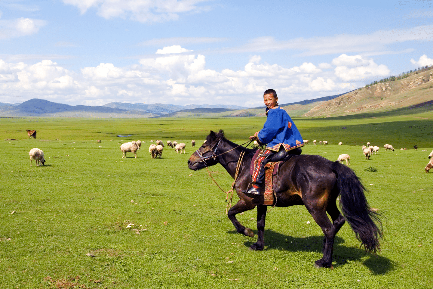 voyage mongolie