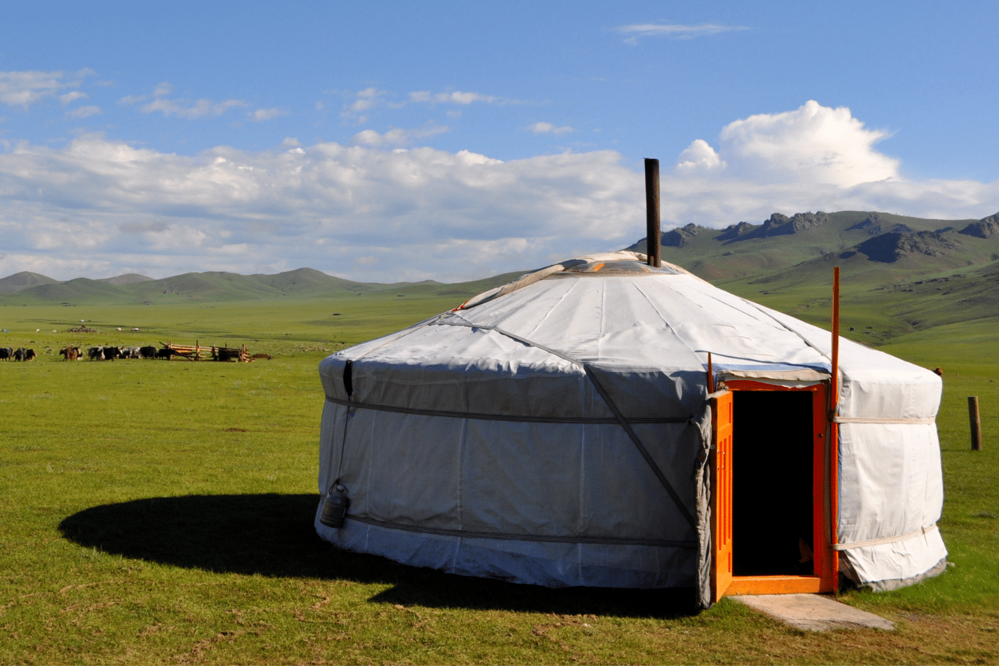 voyage mongolie rencontre marc alaux