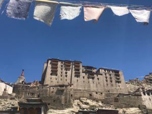 a petits pas premiere etape trek ladakh